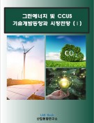 그린에너지 및 CCUS 기술개발 동향과 시장전망(Ⅰ)